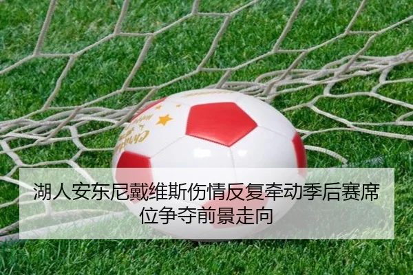 湖人安东尼戴维斯伤情反复牵动季后赛席位争夺前景走向