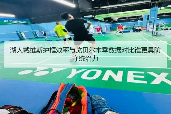 湖人戴维斯护框效率与戈贝尔本季数据对比谁更具防守统治力